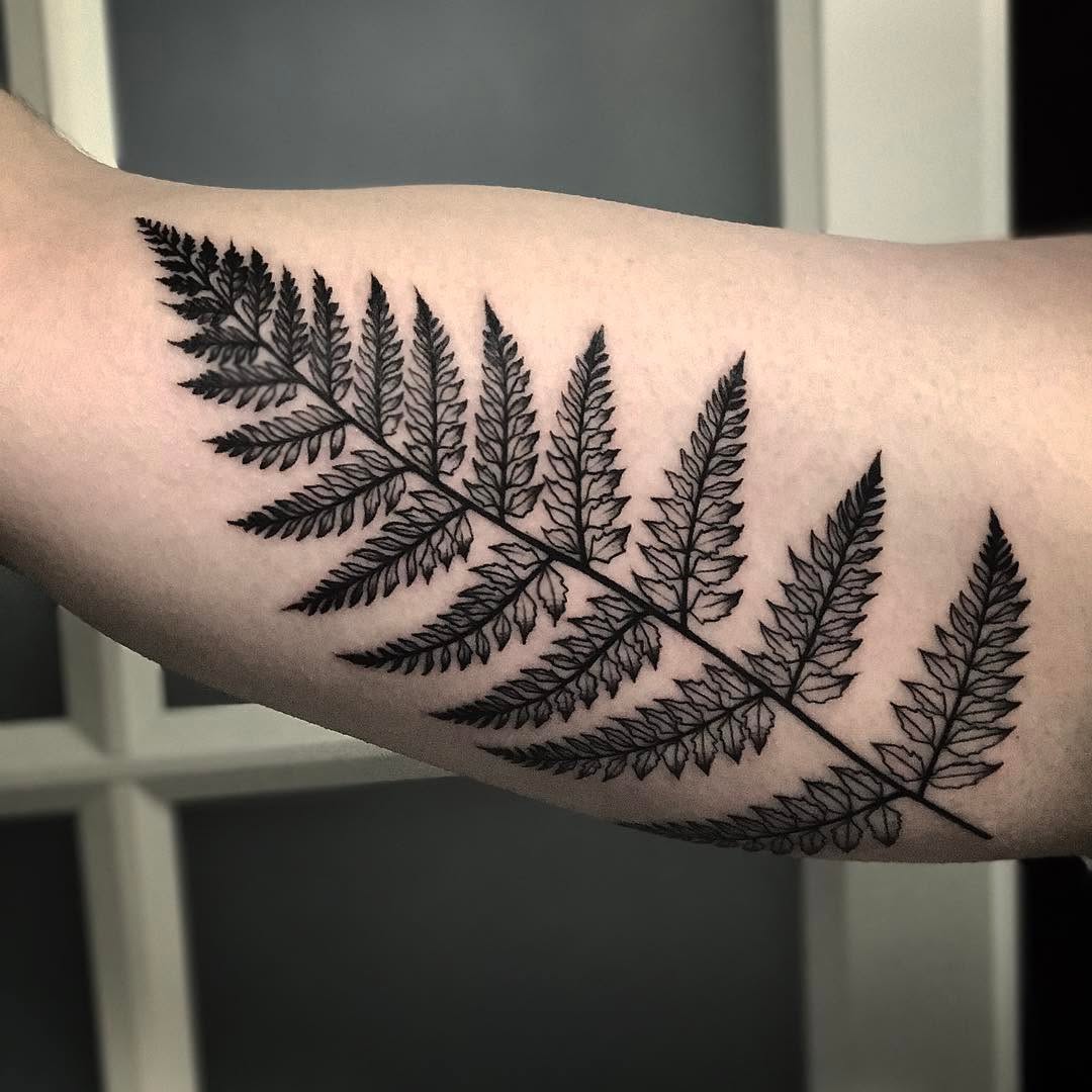 잎, 풀, Flower, 고사리, Nature, 단풍잎, 나뭇가지