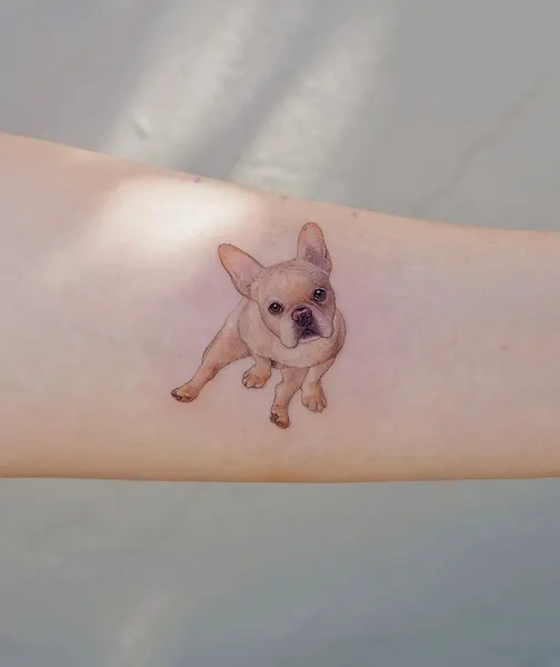 강아지, 반려동물, 반려동물 추모, Mini, 충성, 텐구, 함사