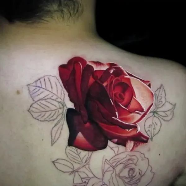 Flower, Rose