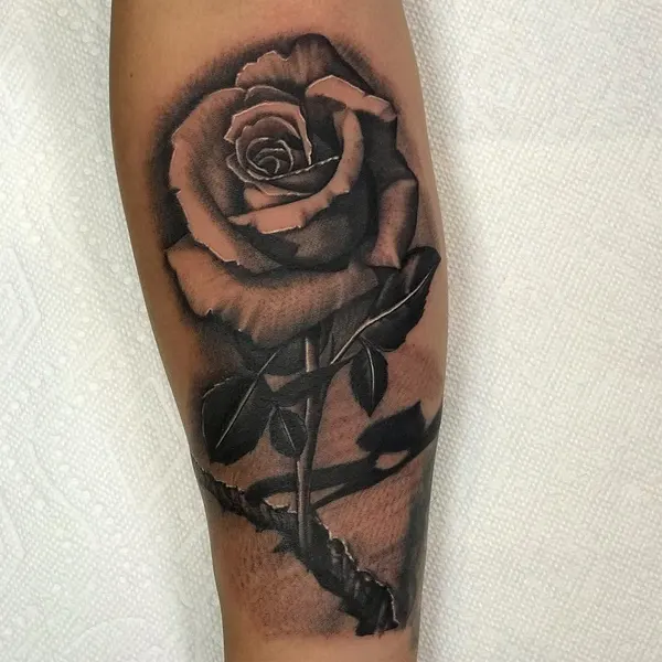 Flower, Rose