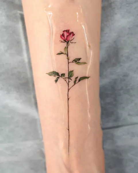 Rose, Flower