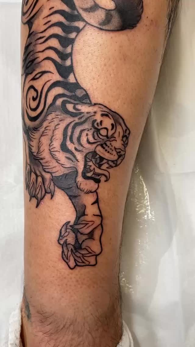 Tiger, Animal