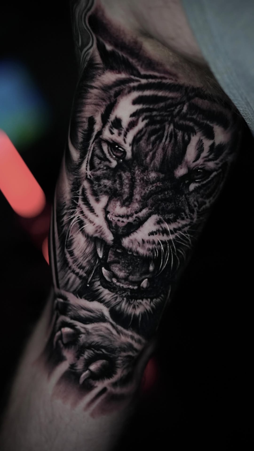 Tiger, 사자자리, 일본 호랑이, 중국 호랑이, 한국 호랑이