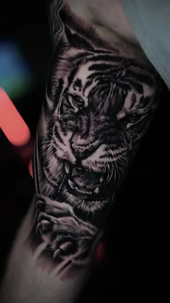 Tiger, 사자자리, 일본 호랑이, 중국 호랑이, 한국 호랑이