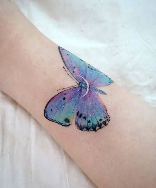 Animal, Nature, 나방