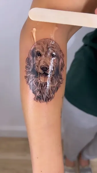 Animal, 강아지