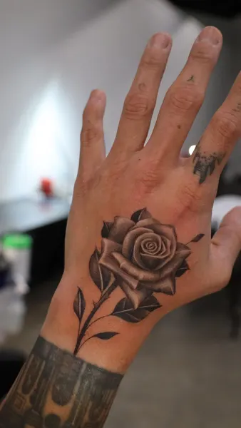 Flower, Rose