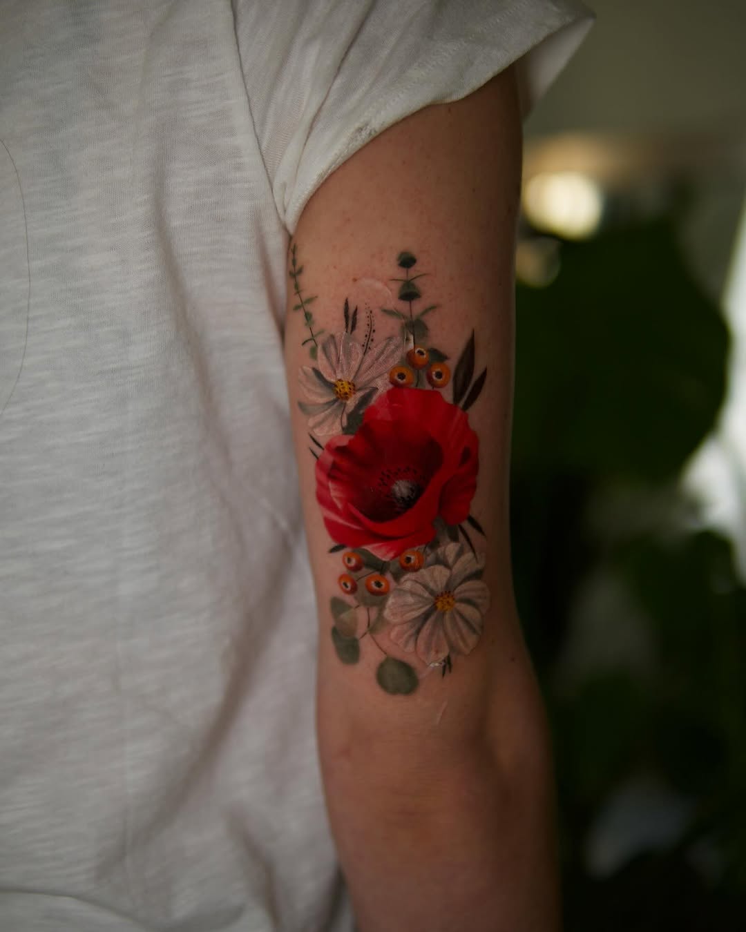 Rose, Nature, Flower