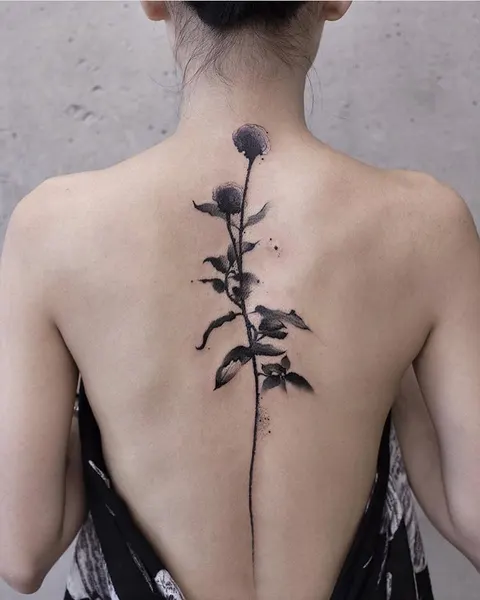 equilattera