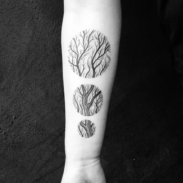 Nature, 뿌리, 나무, 덩굴, 소나무