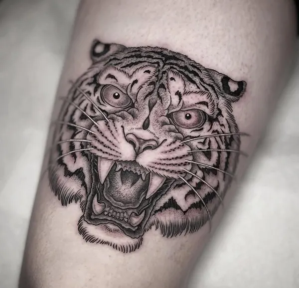 Tiger, 한국 호랑이, 중국 호랑이