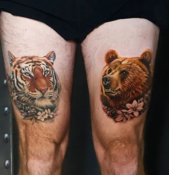 Animal, 곰