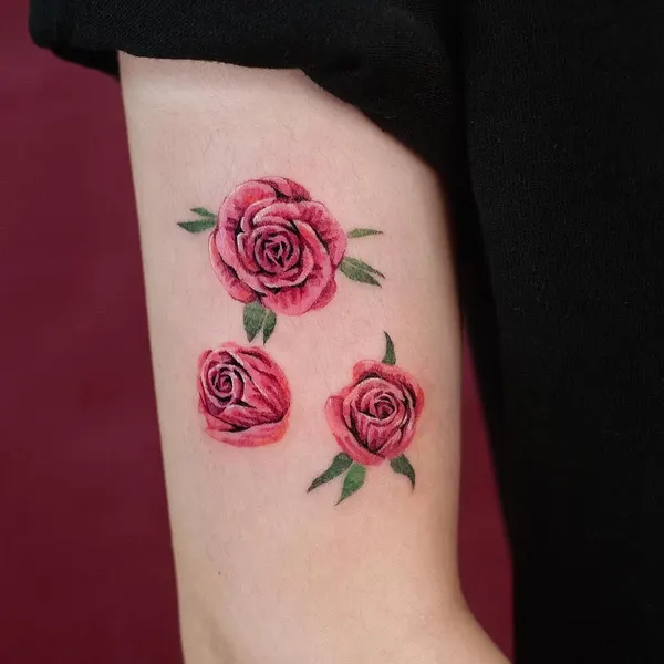 Flower, Rose