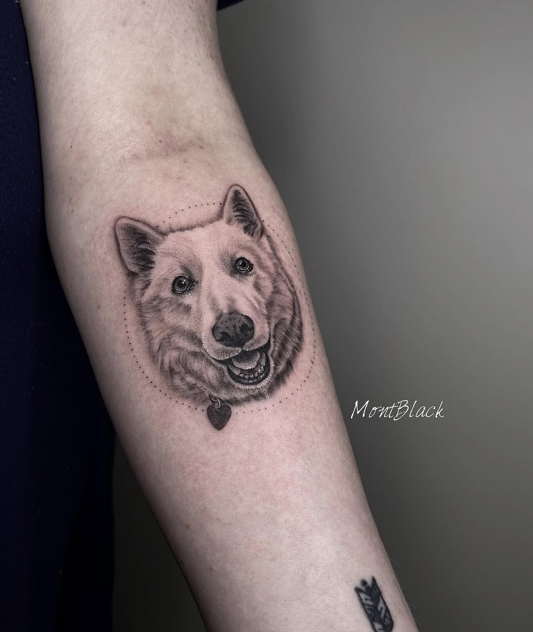 Animal, 곰, 판다