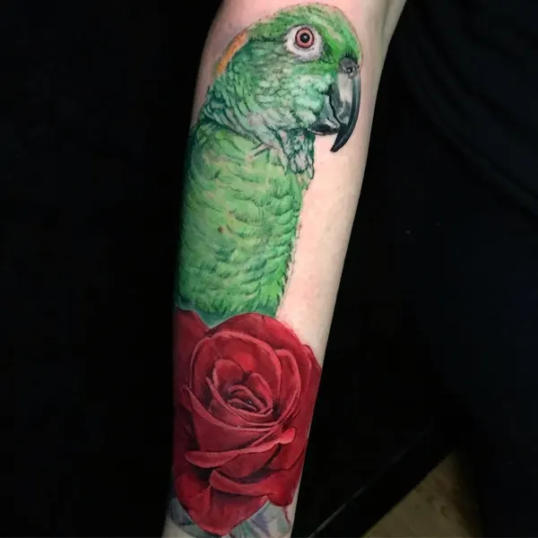 Animal, Nature
