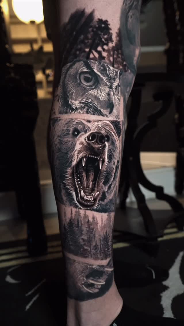 Animal, 고릴라
