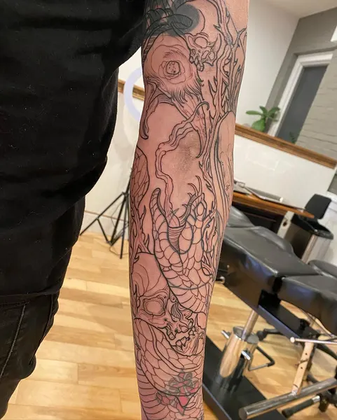 Dragon