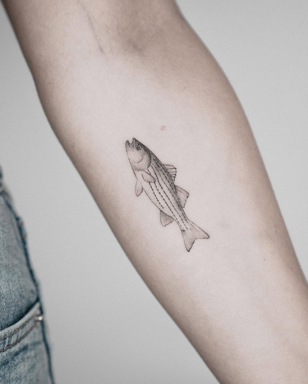 Animal, 고래, 물고기, 잉어