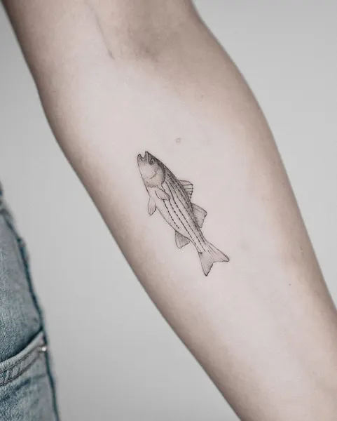 Animal, 고래, 물고기, 잉어