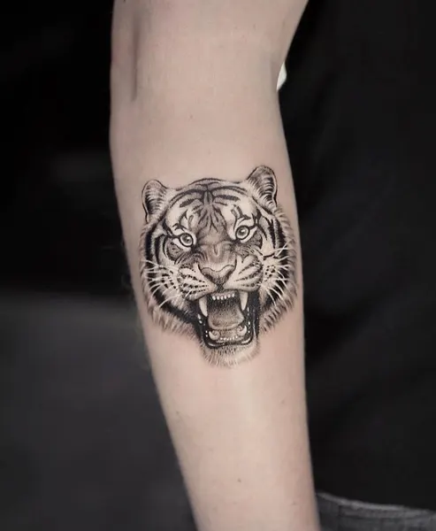 Tiger, 치타, 중국 호랑이, 한국 호랑이, 일본 호랑이