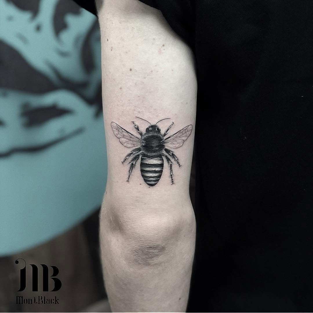 Animal, 벌