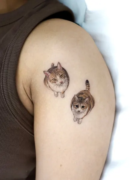 고양이, 마네키네코, 여우 가면