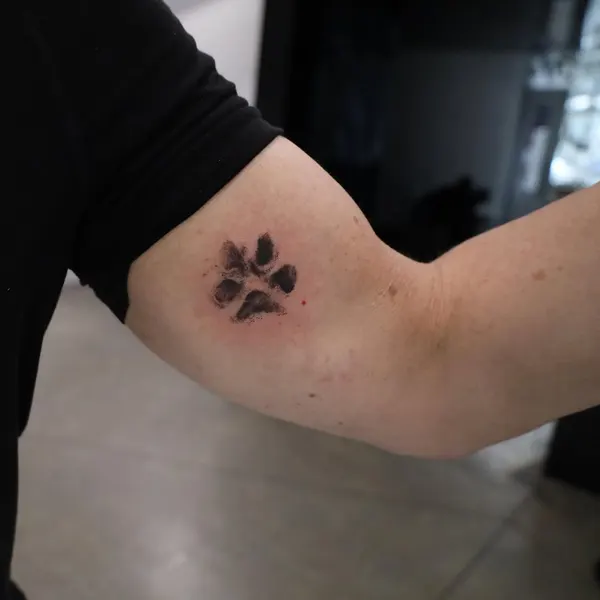 mnsantanatattoo