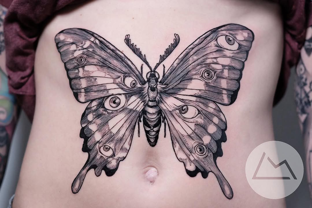 Animal, Nature, 나방, 매미
