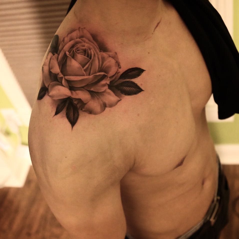 Flower, Rose, Nature