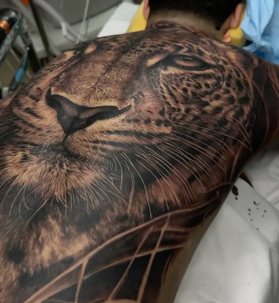 Animal, 표범, 재규어, 치타