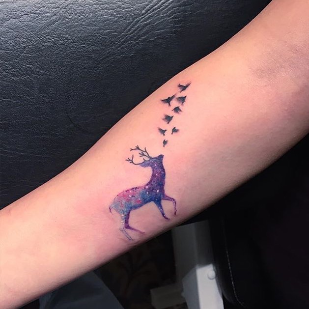 사슴, 양자리, 염소자리, 유니콘, Animal