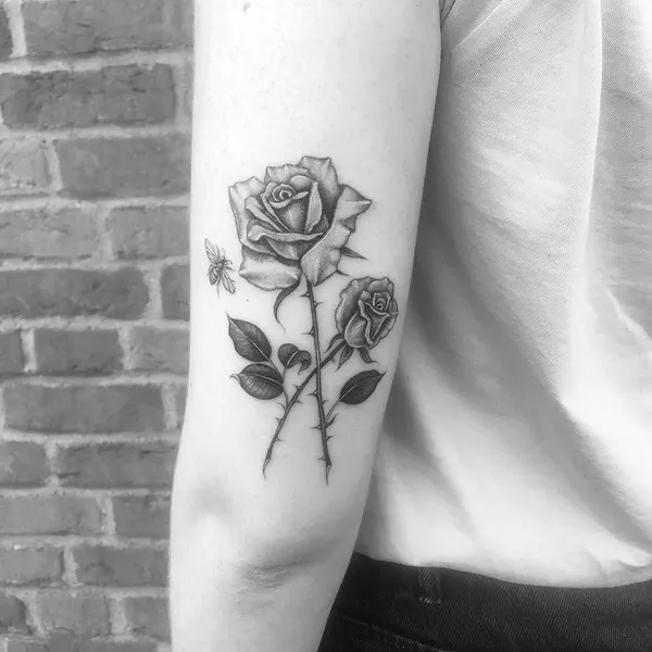 Flower, Rose