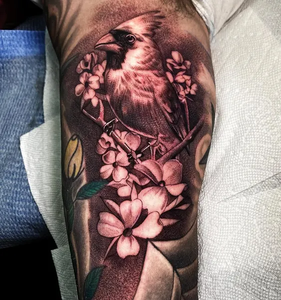 Flower, Animal, Nature