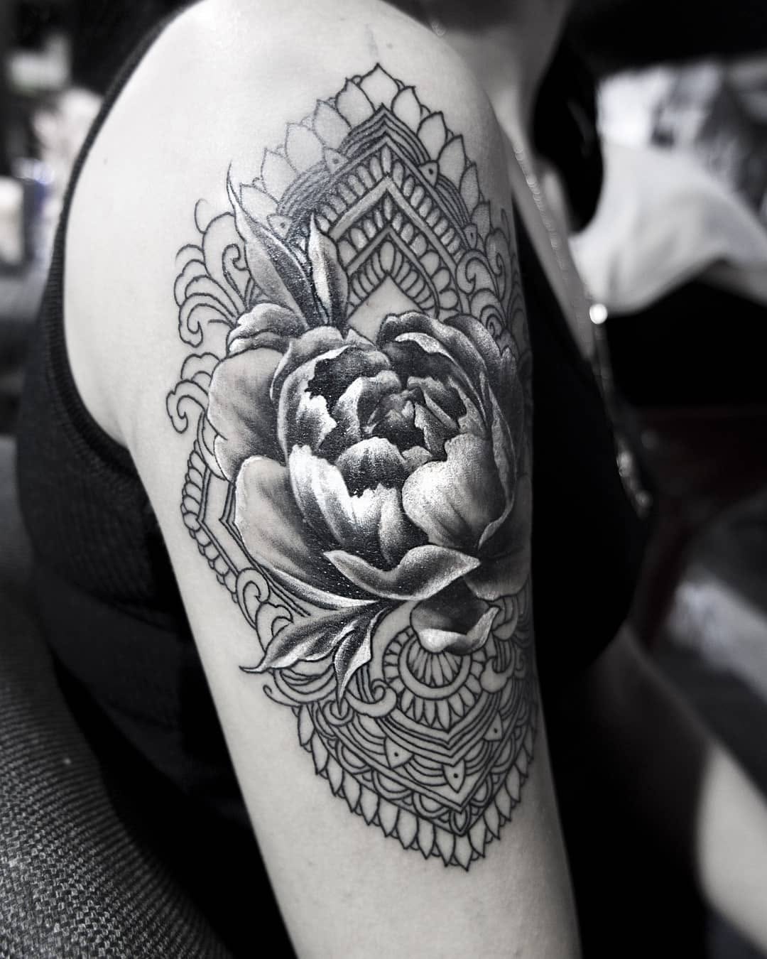 Flower, Rose
