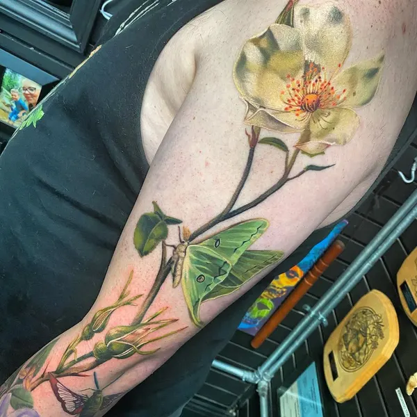 Flower, Rose, Nature, Animal