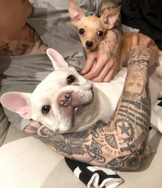 mr.k_tattoo
