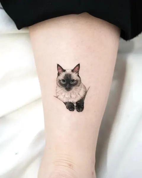고양이