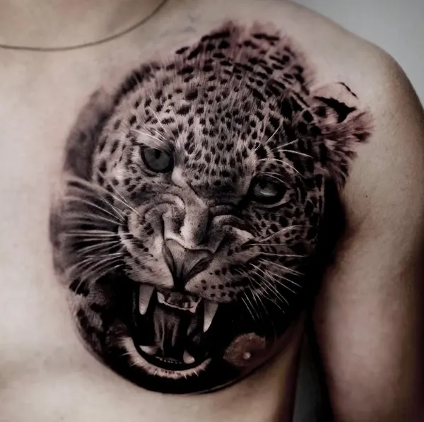 Animal, 치타, 표범, 재규어