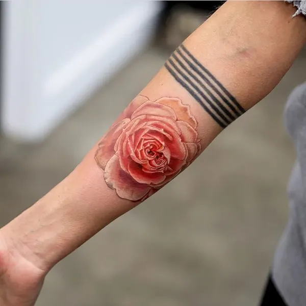 Flower, Rose