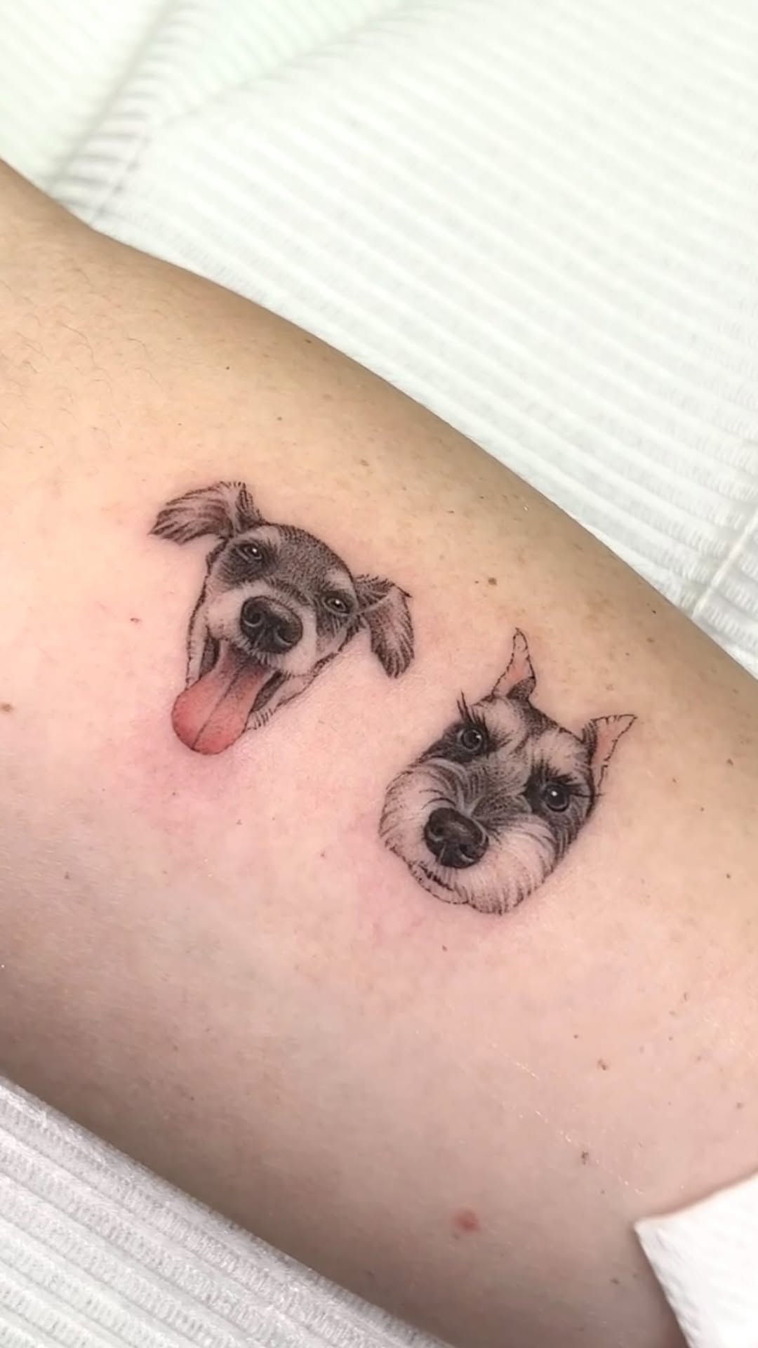 dorok.tattoo