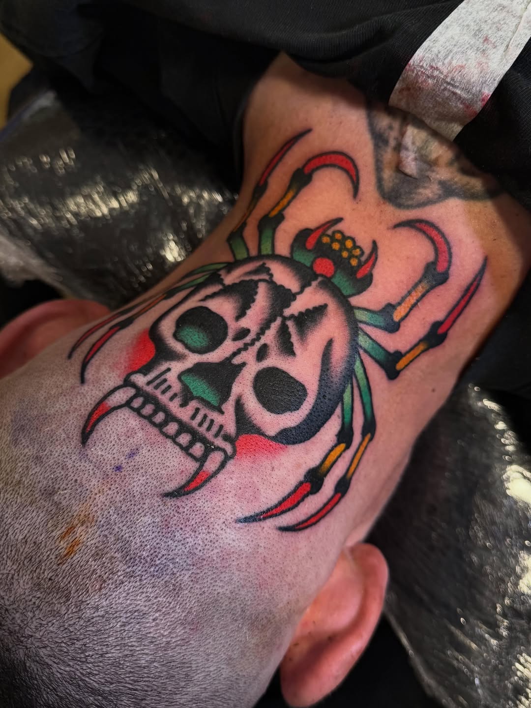 Animal, Skull