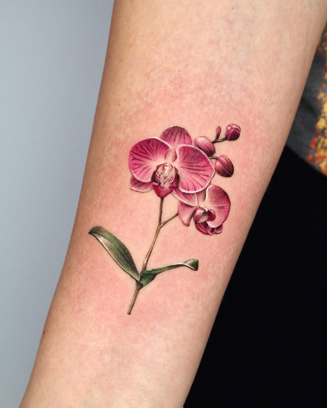 Flower, 모란, 목련, 난초, 매화, 수국