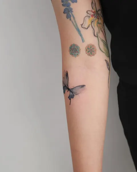 Nature, Animal, 요정, 날개, 참새