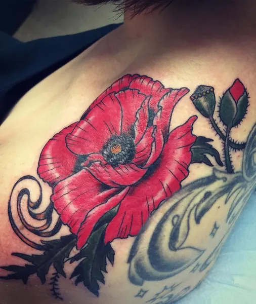 Flower, Rose, 양귀비