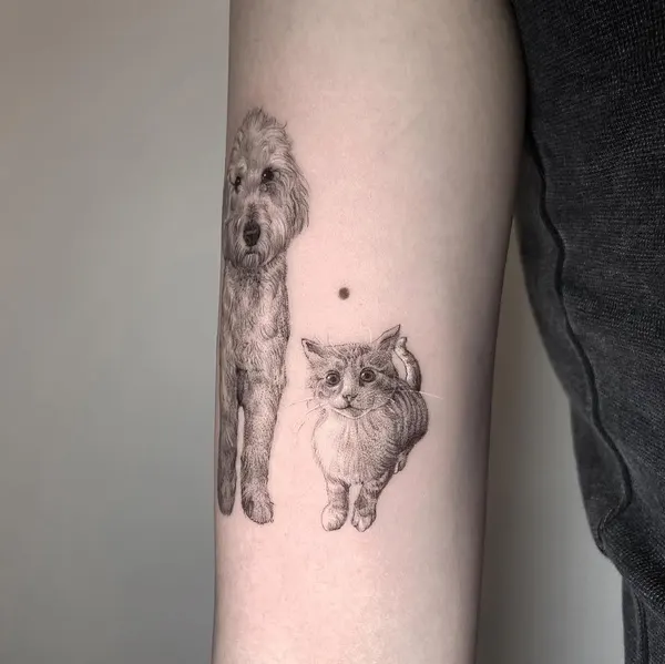 Animal