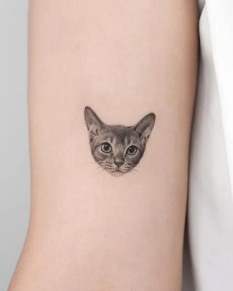 고양이, 여우 가면