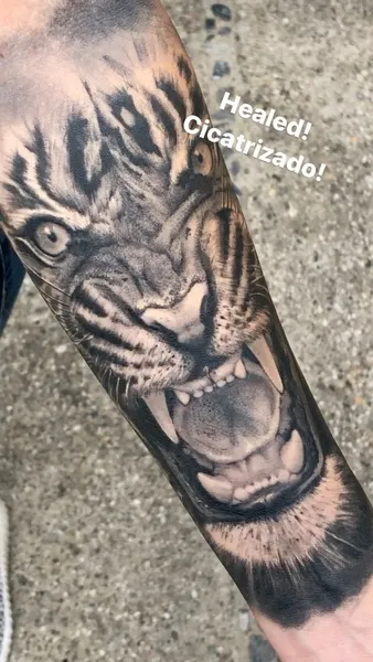 Tiger, 팬서