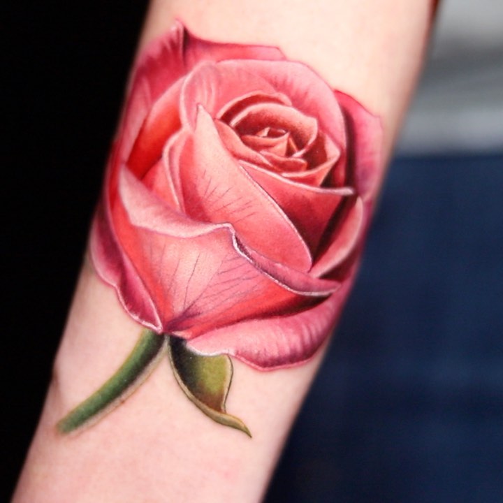 Flower, Rose