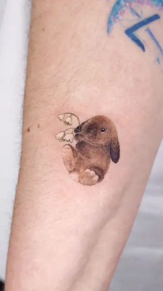 Animal