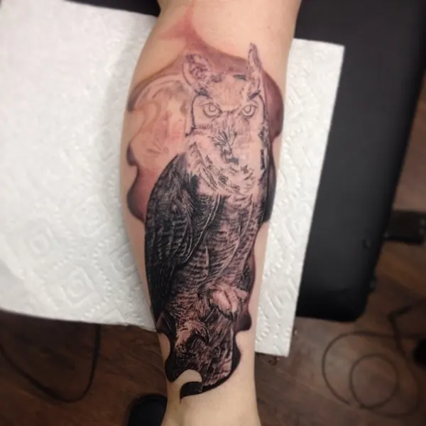 Animal, Dragon